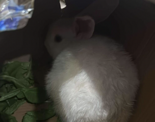 Ekran-Resmi-2026-03-07-22.15.06