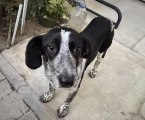 Ekran-Resmi-2026-03-07-22.16.22