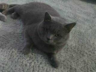 Ekran-Resmi-2026-03-07-22.17.58