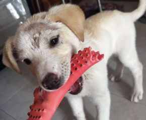 Ekran-Resmi-2026-03-07-22.18.43