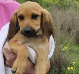 Ekran-Resmi-2026-03-07-22.21.44