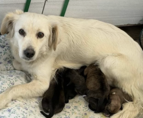 Ekran-Resmi-2026-03-07-22.26.52