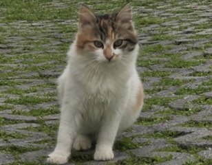 Ekran-Resmi-2026-03-07-22.27.49