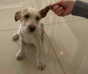 Ekran-Resmi-2026-03-07-22.29.30