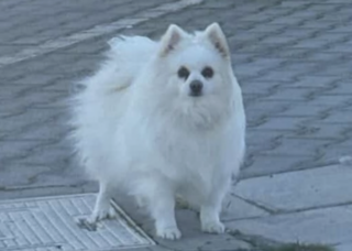 Ekran-Resmi-2026-03-07-22.31.51