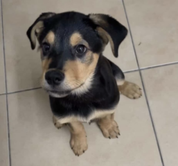 Ekran-Resmi-2026-03-07-22.33.23