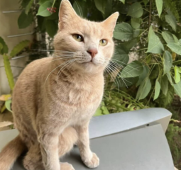 Ekran-Resmi-2026-03-07-22.35.13