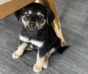 Ekran-Resmi-2026-03-08-00.07.47