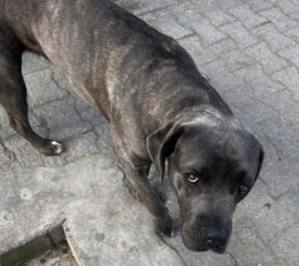 Ekran-Resmi-2026-03-08-00.12.39