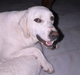 Ekran-Resmi-2026-03-08-00.18.14