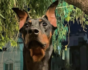 Ekran-Resmi-2026-03-08-00.21.21