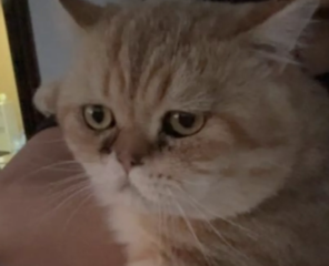 Ekran-Resmi-2026-03-08-00.42.43