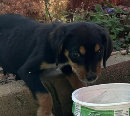 Ekran-Resmi-2026-03-08-00.43.56