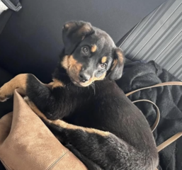 Ekran-Resmi-2026-03-08-00.46.45