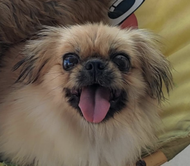 Ekran-Resmi-2026-03-08-22.20.46