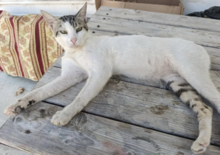 Ekran-Resmi-2026-03-08-22.28.41