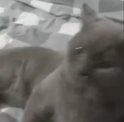 Ekran-Resmi-2026-03-08-22.33.55