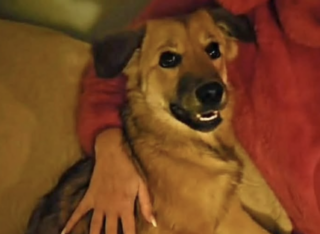 Ekran-Resmi-2026-03-08-22.35.00