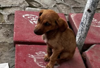 Ekran-Resmi-2026-03-08-22.37.49