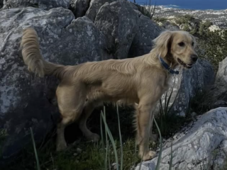 Ekran-Resmi-2026-03-08-22.39.30