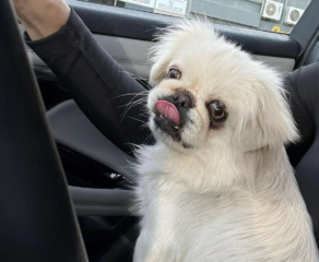 Ekran-Resmi-2026-03-08-22.40.17