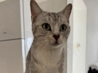 Ekran-Resmi-2026-03-08-22.41.32