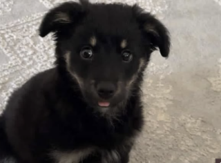 Ekran-Resmi-2026-03-08-22.43.35