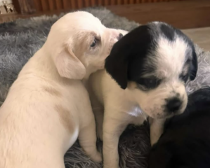 Ekran-Resmi-2026-03-08-22.47.09