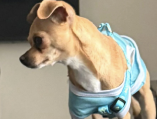 Ekran-Resmi-2026-03-08-22.49.45