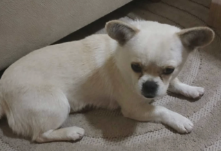 Ekran-Resmi-2026-03-08-22.51.06