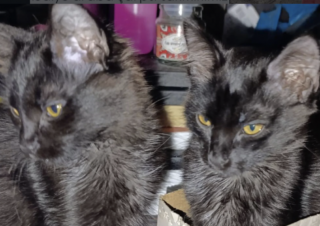 Ekran-Resmi-2026-03-08-23.01.19