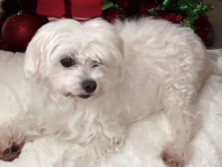 Ekran-Resmi-2026-03-08-23.02.45