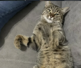 Ekran-Resmi-2026-03-08-23.03.28