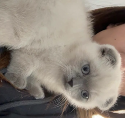 Ekran-Resmi-2026-03-08-23.07.11