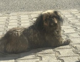 Ekran-Resmi-2026-03-08-23.10.26