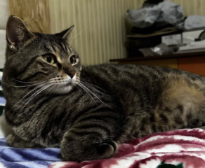 Ekran-Resmi-2026-03-09-22.02.41