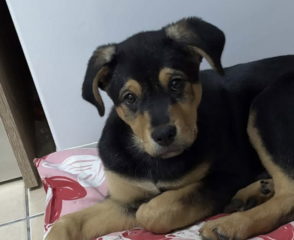 Ekran-Resmi-2026-03-09-22.03.10