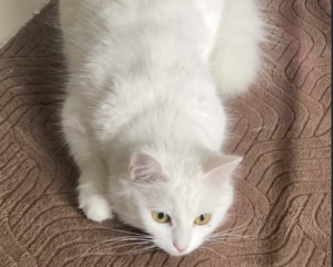 Ekran-Resmi-2026-03-09-23.36.08