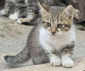 Ekran-Resmi-2026-03-09-23.38.17