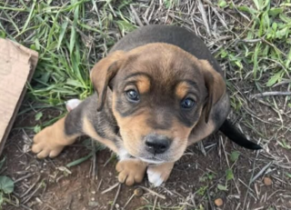 Ekran-Resmi-2026-03-09-23.39.52