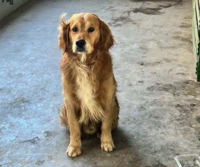 Ekran-Resmi-2026-03-09-23.42.53