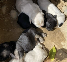 Ekran-Resmi-2026-03-09-23.44.23