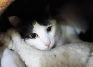 Ekran-Resmi-2026-03-09-23.45.21