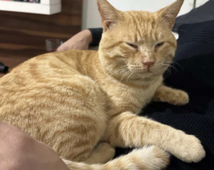 Ekran-Resmi-2026-03-09-23.48.17