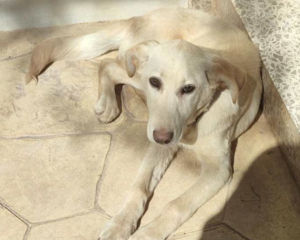 Ekran-Resmi-2026-03-09-23.49.40