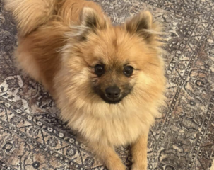 Ekran-Resmi-2026-03-09-23.51.04