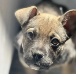 Ekran-Resmi-2026-03-09-23.53.48