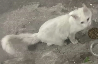 Ekran-Resmi-2026-03-09-23.57.23