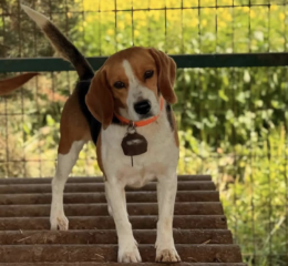 Ekran-Resmi-2026-03-09-23.57.58