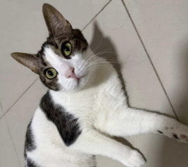 Ekran-Resmi-2026-03-09-23.59.14